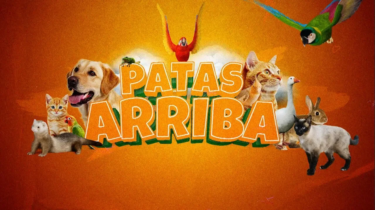 Nueva imagen de 'Patas Arriba' 