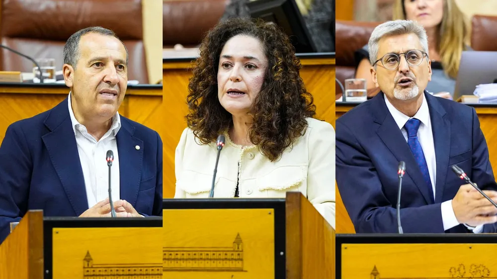 Inma Nieto (Por Andalucía), José Luis Ruíz y Josele Aguilar (PSOE), los malagueños con más intervenciones. / Parlamento