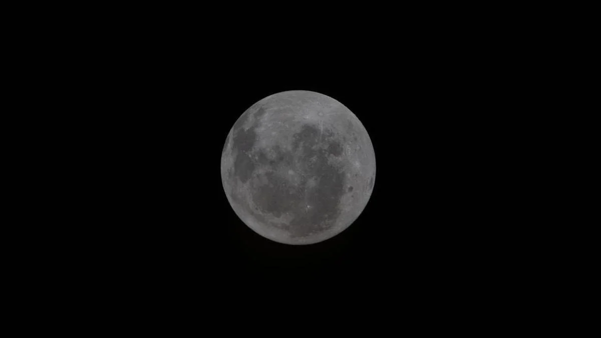 8af98a91-0957-44de-9df0-391d2aff2ce9_16-9-discover-aspect-ratio_default_1451445